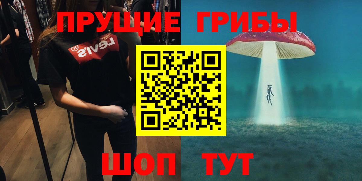 Курчалой  Галлюциногенные грибы MAGIC MUSHROOMS  где купить наркотик  Вход с VPN 