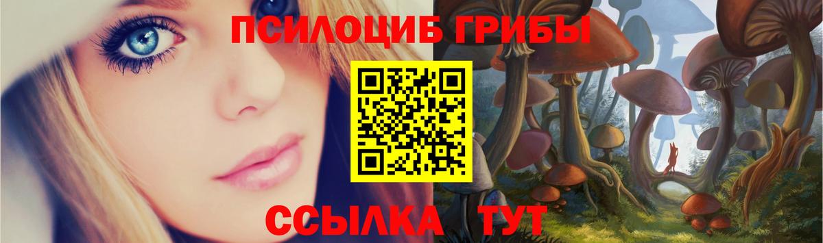Галлюциногенные грибы Cubensis Курчалой