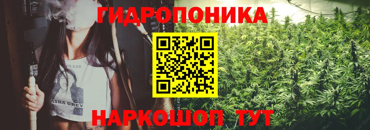 Конопля тримм Курчалой